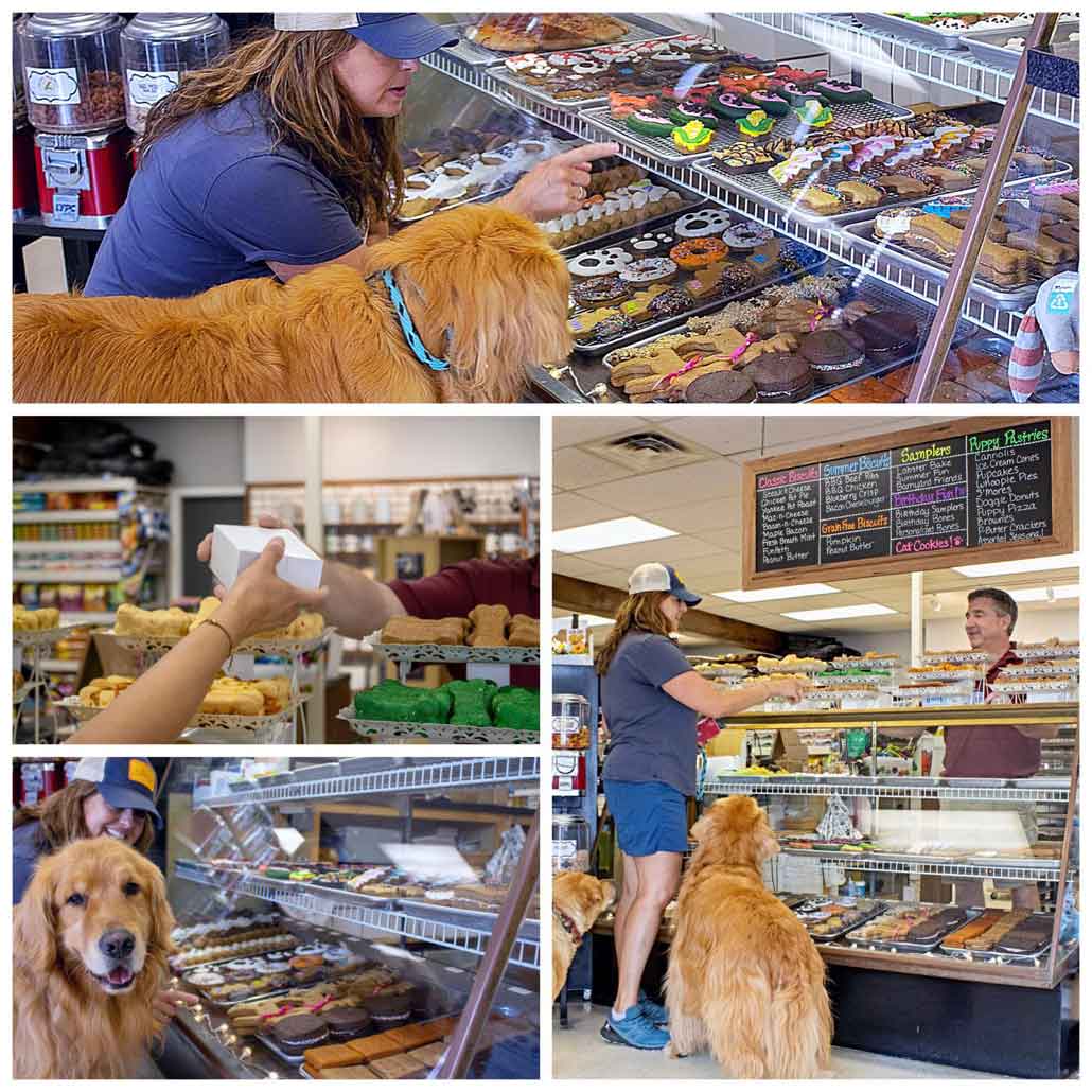 antique pet bakery case.