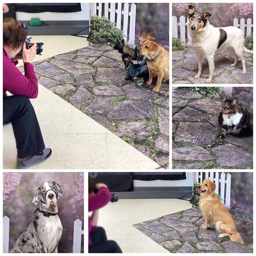 beautiful portraits of your pets.