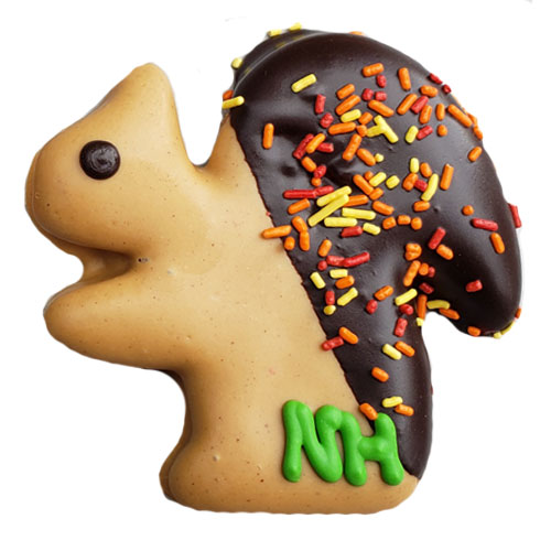 Jumbo Peanut Butter Fall Squirrels - Popular Favorite!