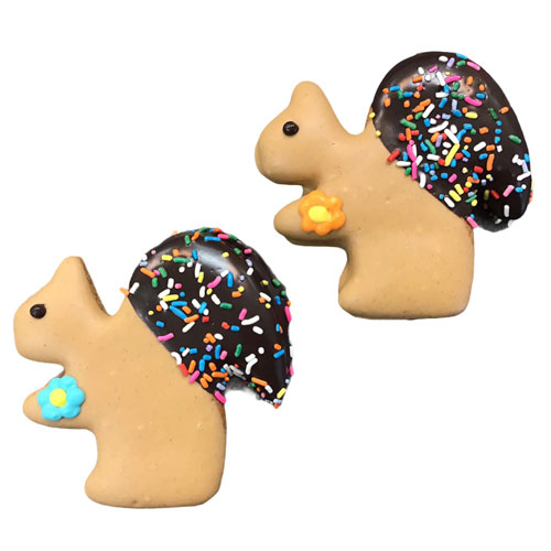 Jumbo Spring Squirrels