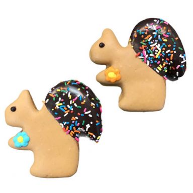 Jumbo Spring Squirrels