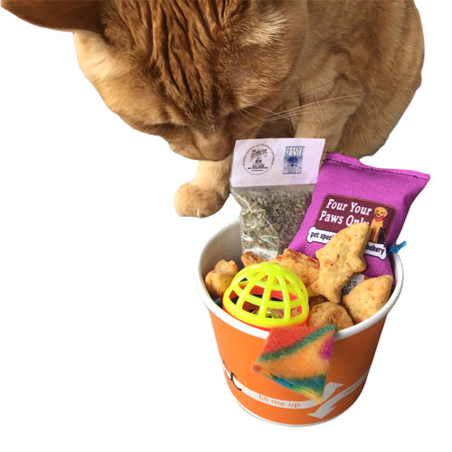 Kitty Sampler Four Your Paws Only