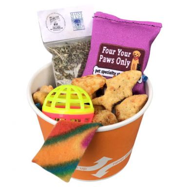 Kitty Sampler