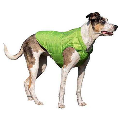 kurgo loft dog jacket