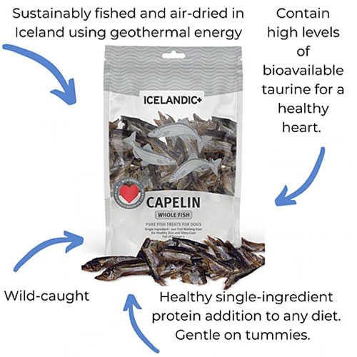 100 Pure Icelandic Capelin Whole Fish Pieces Four Your Paws Only
