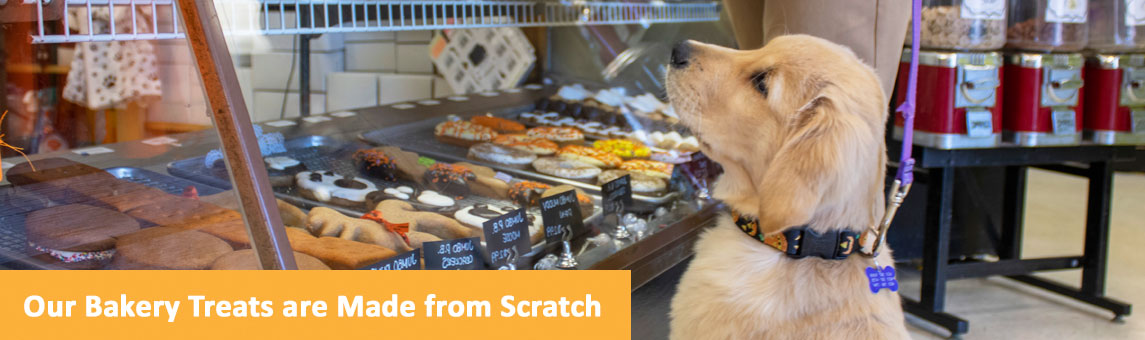 four dogs pet supply