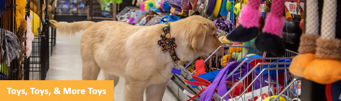 Pet toys