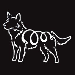 K Line Decal - Australian Cattle Dog
