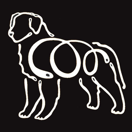 K Line Decal - Bernese Mtn. Dog