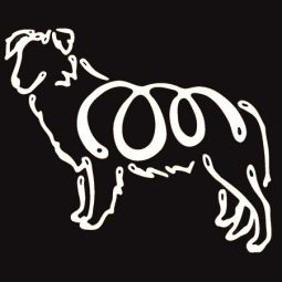K Line Decal - Border Collie