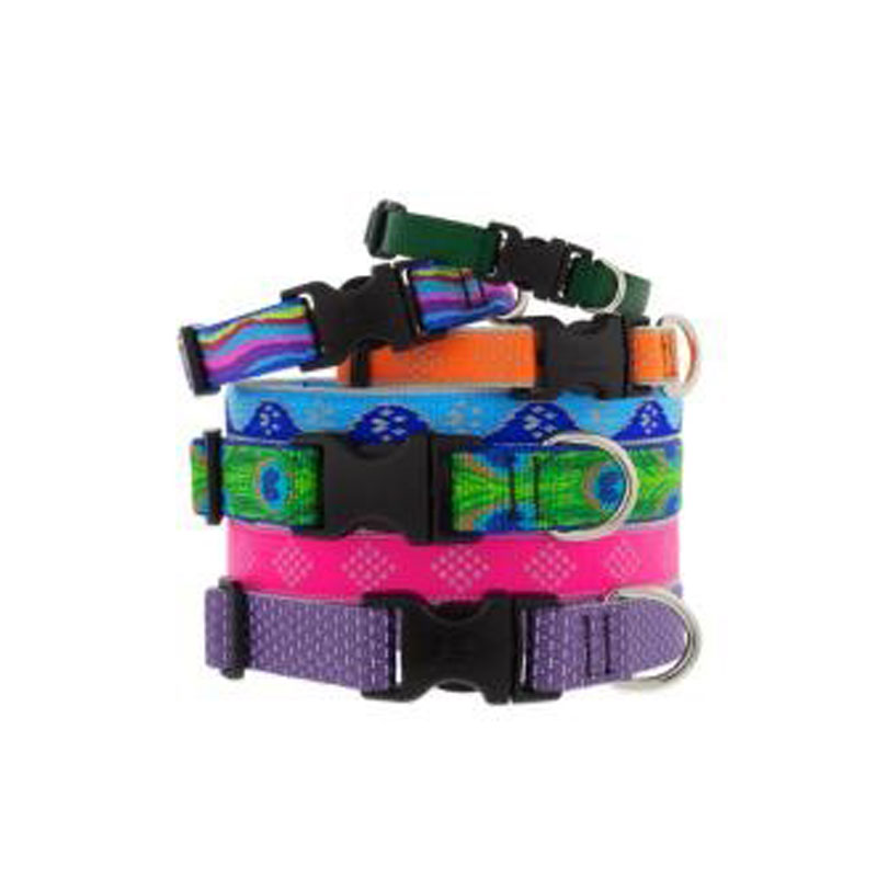 Lupine Dog Collars & More Four Your Paws Only