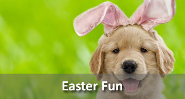Easter Fun