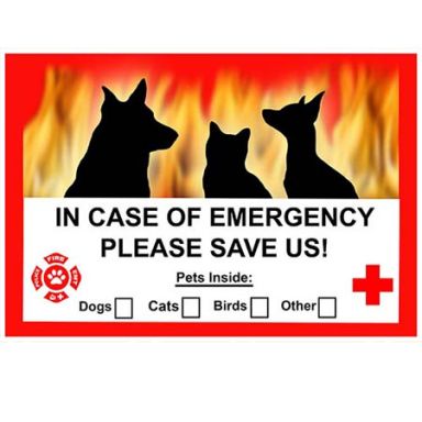 Emergency Cling
