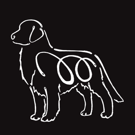 K Line Decal - Golden Retriever