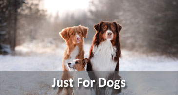 four dogs pet supply