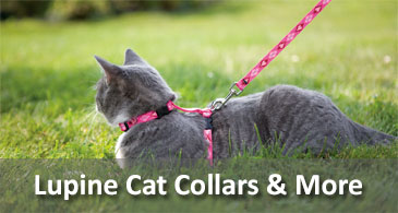 Lupine Collars & Leads for Cats