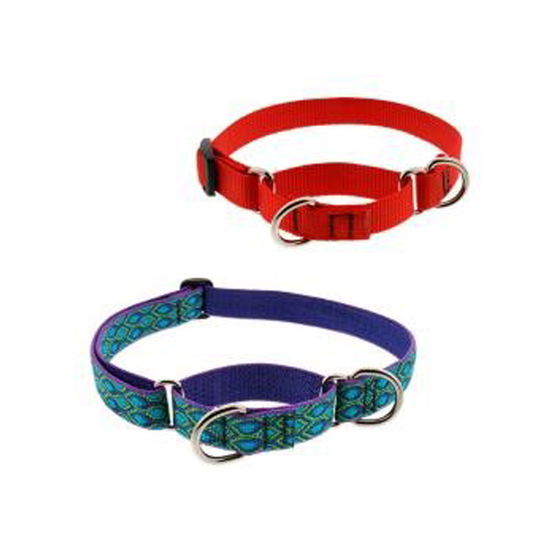 Martingale Dog Training Collars