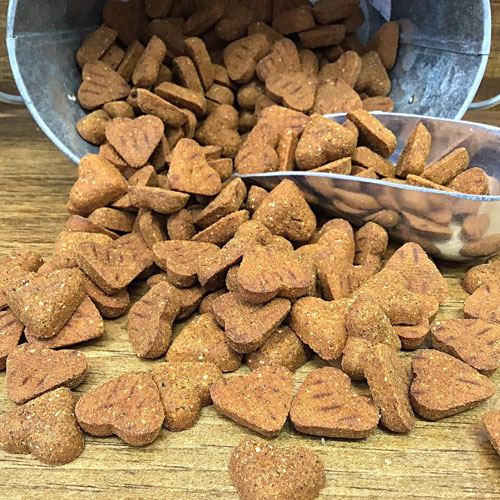 Darford - Grain Free Salmon - Minis