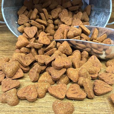 Darford - Grain Free Salmon - Minis