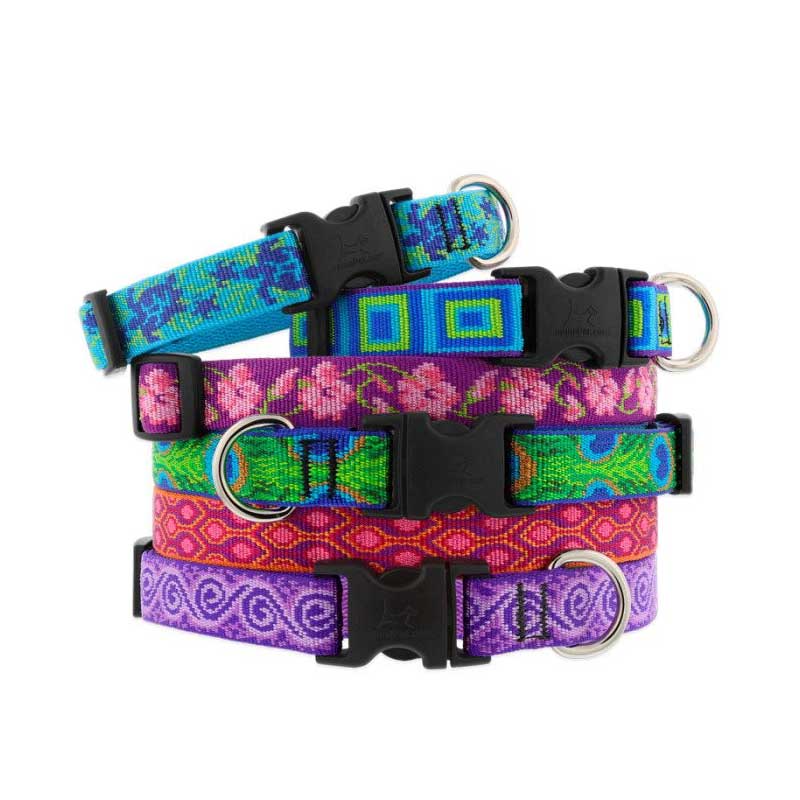 Original Designs Dog Collar