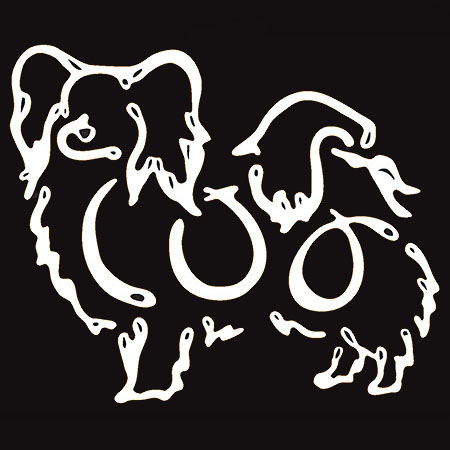 K Line Decal - Papillion