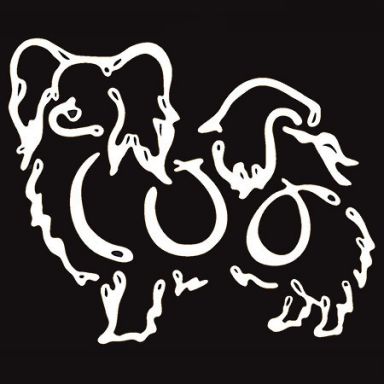 K Line Decal - Papillion