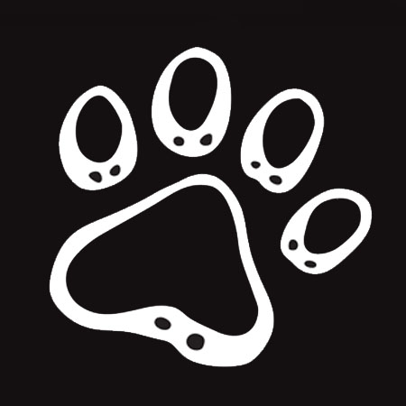 K Line Decal - Paw Print