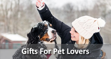 specialty dog stores