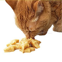 Four Your Paws Only - Bakery Treats for Cats