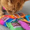 FYPO Catnip Toss About Toys - OUT OF STOCK