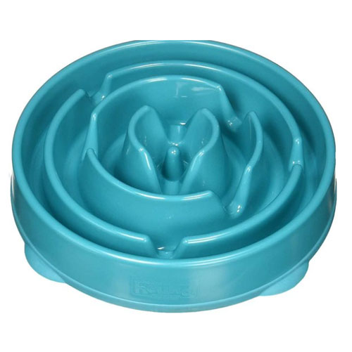 Outward Hound - Non-Skid Plastic Slow Feeder Interactive Dog Bowl - Teal -  Four Your Paws Only