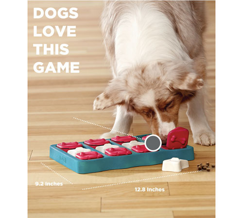 Outward Hound - Dog Brick - Interactive Treat Puzzle Dog Toy - Level 1 - Four Your Paws Only