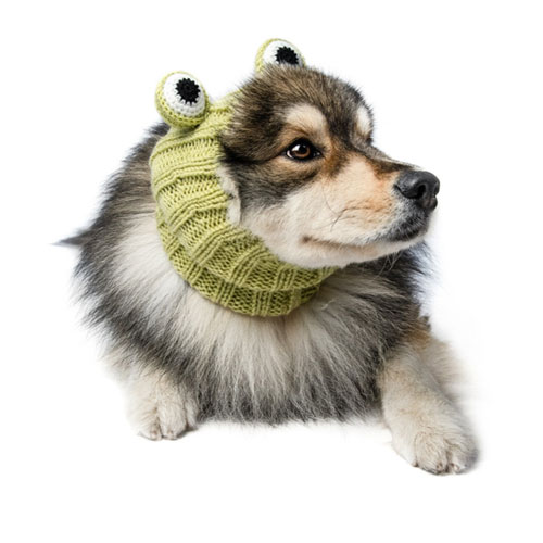 Zoo Snoods - Frog