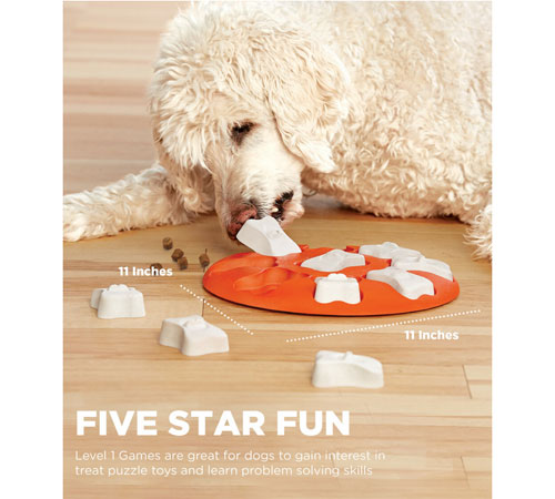 Nina Ottosson by Outward Hound Puppy Smart Interactive Dog Puzzle