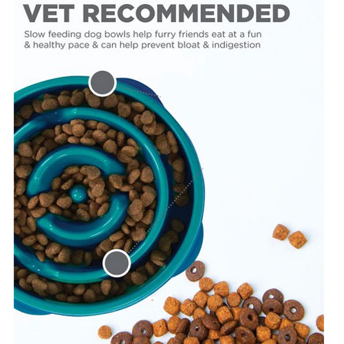 Outward Hound Slow Feeder Plastic Dog Pet Food Bowl Circular Teal