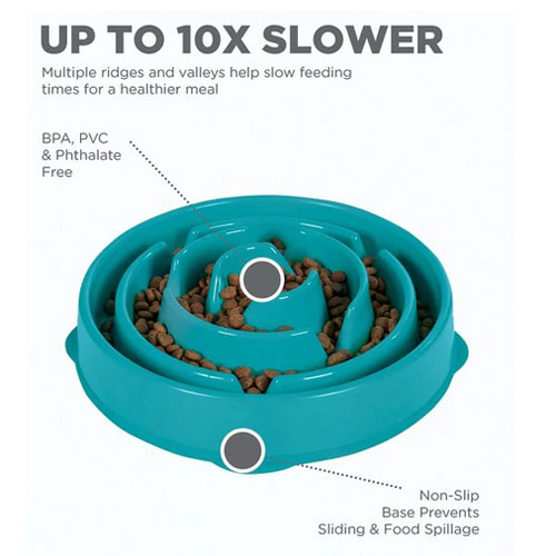 Outward Hound - Non-Skid Plastic Slow Feeder Interactive Dog Bowl - Teal -  Four Your Paws Only