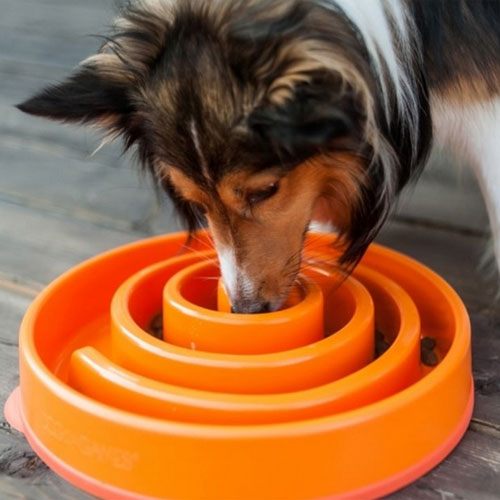 Outward Hound - Non-Skid Fun Feeder Interactive Dog Bowl, Orange