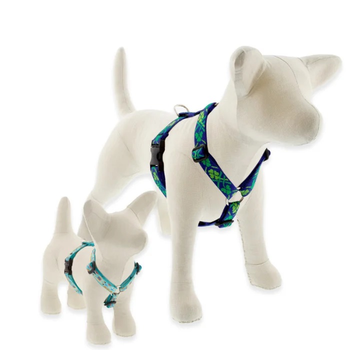 MicroBatch Roman Dog Harness