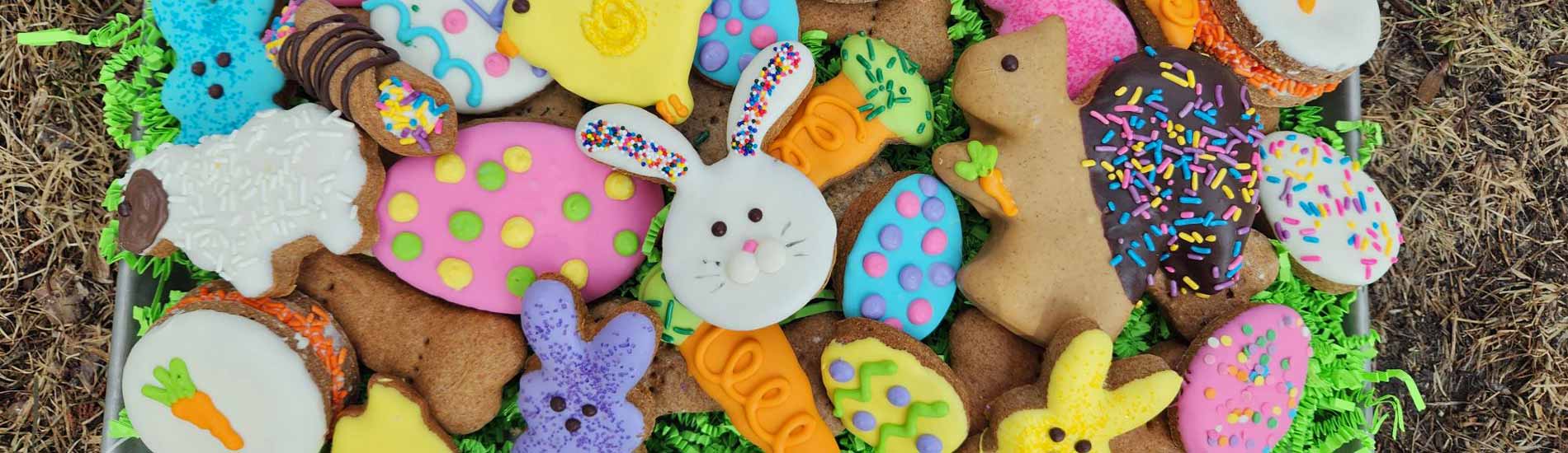 Pet Bakery