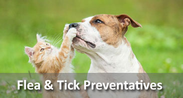 Flea & Tick Preventatives for Dogs & Cats