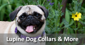 LimitedLupine Dog Collars & More