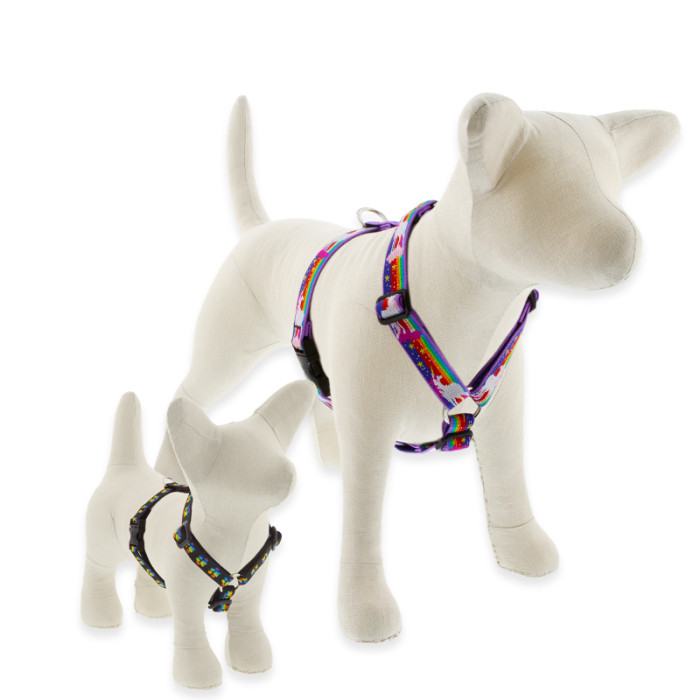 MicroBatch Roman Dog Harness