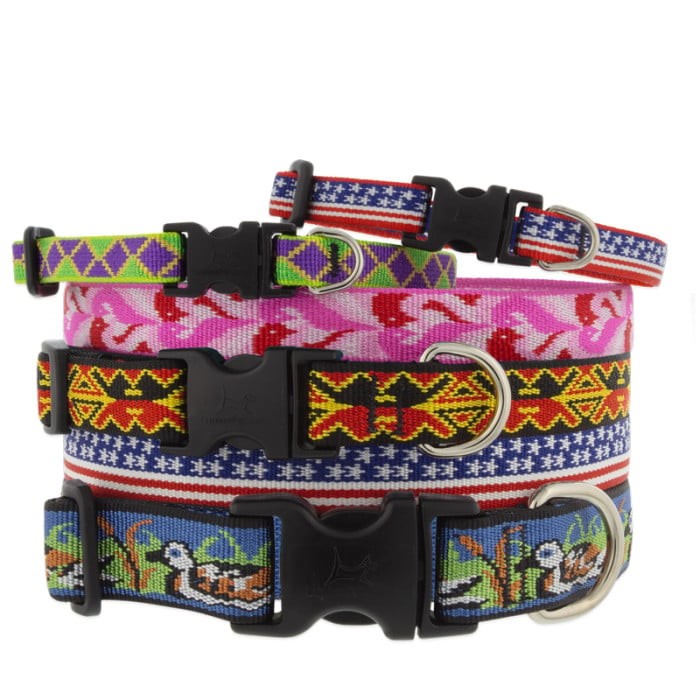 Lupine MicroBatch Collar Four Your Paws Only