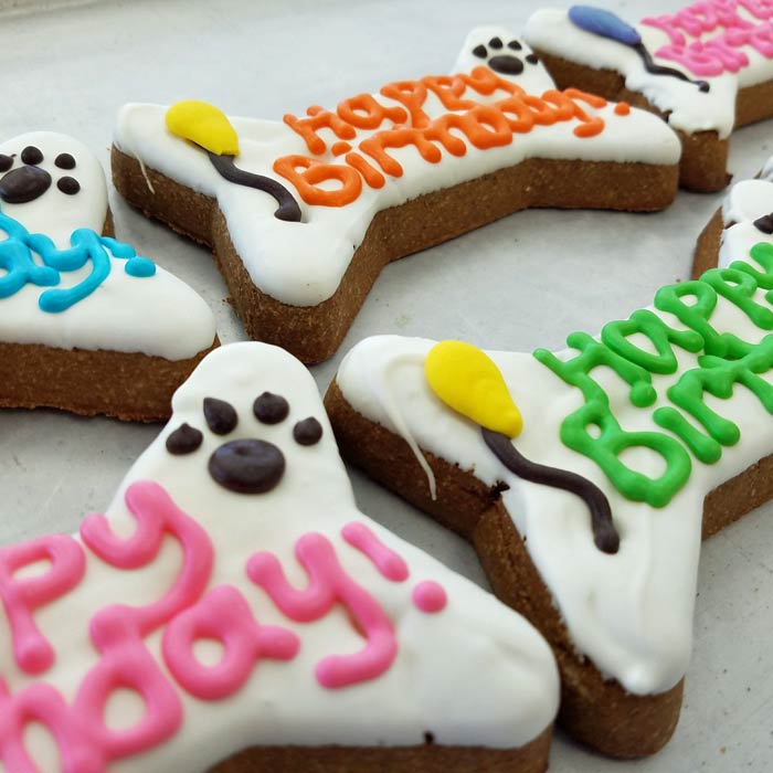 Pet Birthday