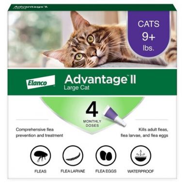 Advantage® II for Cats - ON SALE NOW - $10.00 OFF!