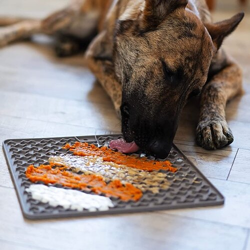 Messy Mutts - Silicone Lick Mat