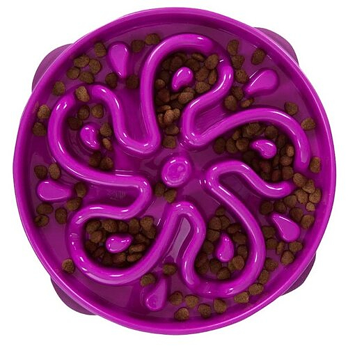 Outward Hound - Non-Skid Fun Feeder Interactive Dog Bowl, Purple - Four  Your Paws Only