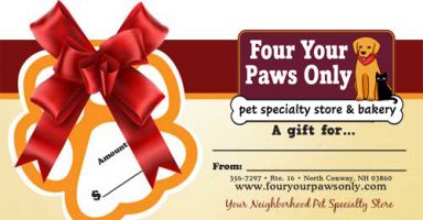 Gift Certificate (For In-Store Use Only)