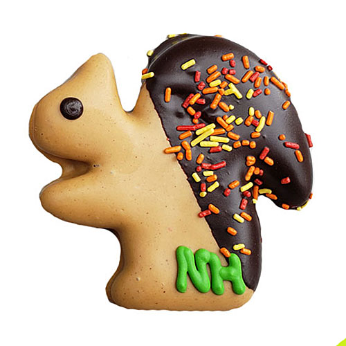 Jumbo Fall Squirrels - Popular Favorite!