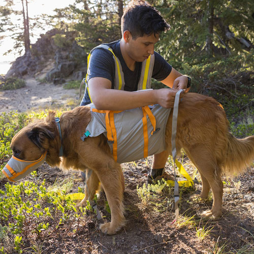 Ruff Wear - BackTrak™ Dog Evacuation Kit - Four Your Paws Only